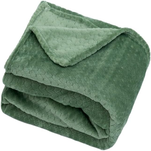 EWUROI Warm Plush Thick Fleece Blanket Flannel Blanket Throw(Gray)